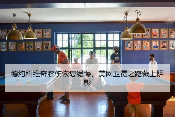 de-yue-ke-wei-qi-xi-shang-hui-fu-huan-man-mei-wang-wei-mian-zhi-lu-meng-shang-yin-ying-2-522.jpg