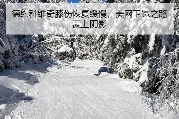 德约科维奇膝伤恢复缓慢，美网卫冕之路蒙上阴影